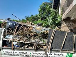 Professional Junk Removal in Upper Lake, CA